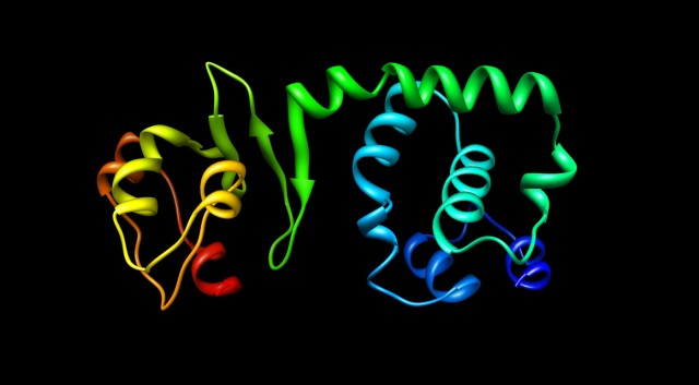 XP13-3 (xenotext protein)