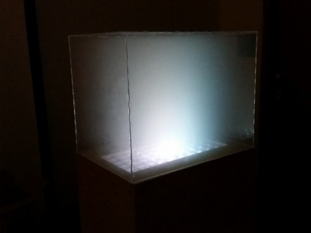 Light Box (8)